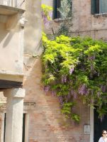 obrázok 50 z Očarujúce Benátky, Verona a Gardalandia