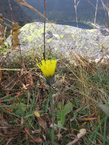 obrázok 63 z Projekt Učíme sa pre život